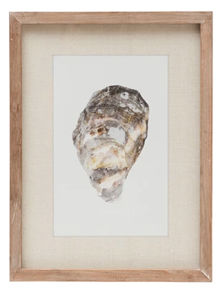 Framed Oyster Print Wall Decor - 15-3/4-in - Mellow Monkey