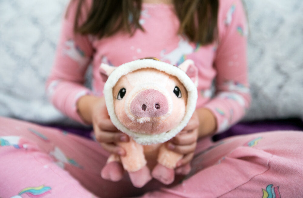 Flying Pig Plush A Companion to The Book Maybe 9 1 4 in Mellow Monkey