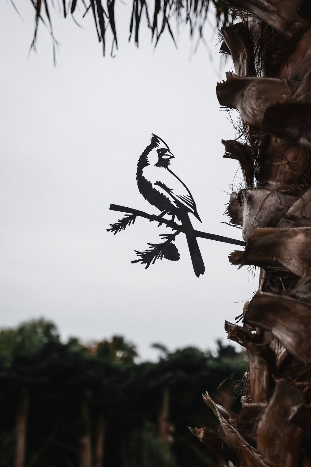 MetalBird - Cardinal - Mellow Monkey