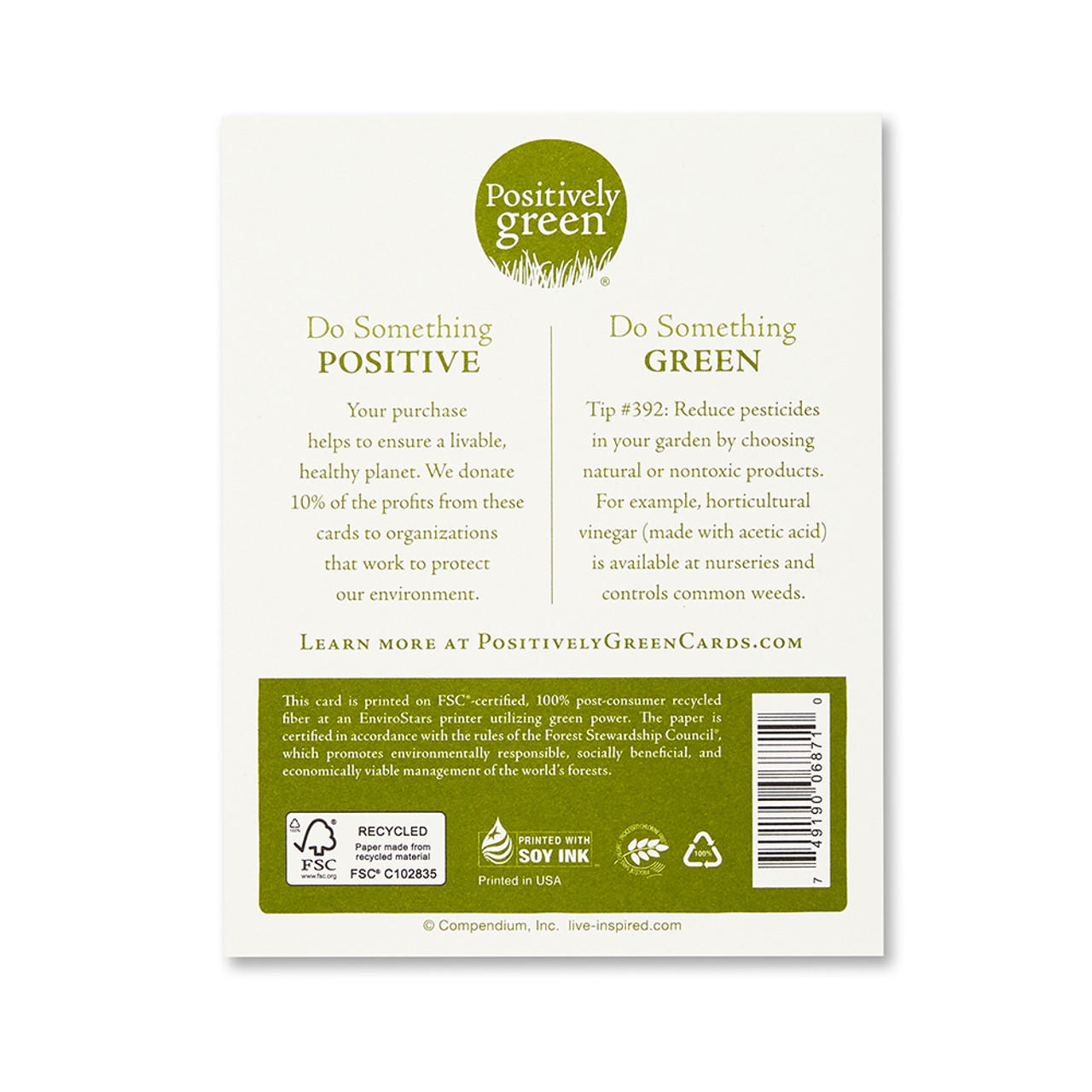 Positively Green Appreciation Greeting Card - “You are so infinitely sweet." - Zelda Fitzgerald - Mellow Monkey