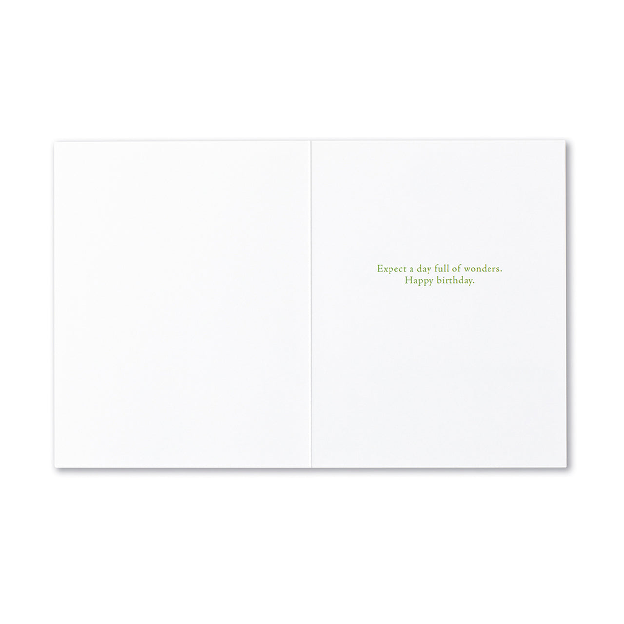 Positively Green Greeting Card - Birthday - She Quietly Expected Great Things To Happen To Her, And No Doubt That's One Of The Reasons Why They Did —ZELDA FITZGERALD - Mellow Monkey