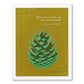 Positively Green Greeting Card - Encouragement - “There Is More Inside You Than You Dare Think"-David Brower - Mellow Monkey