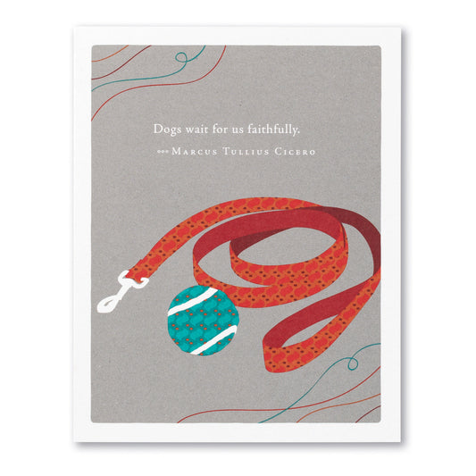 Positively Green Greeting Card - Pet Sympathy- "Dogs Wait For Us Faithfully" - Marcus Tullius Cicero - Mellow Monkey