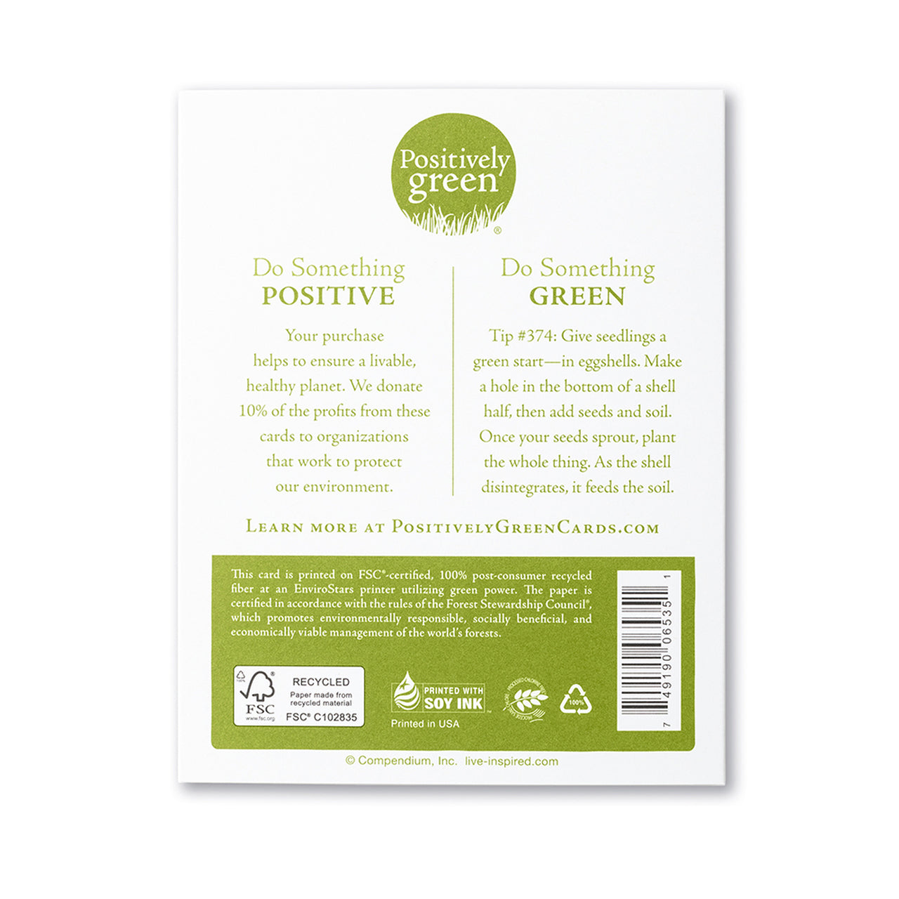 Positively Green Greeting Card - Wedding - "Once In A While, Right In The Middle Of An Ordinary Life, Love Gives Us A Fairytale" -Unknown - Mellow Monkey