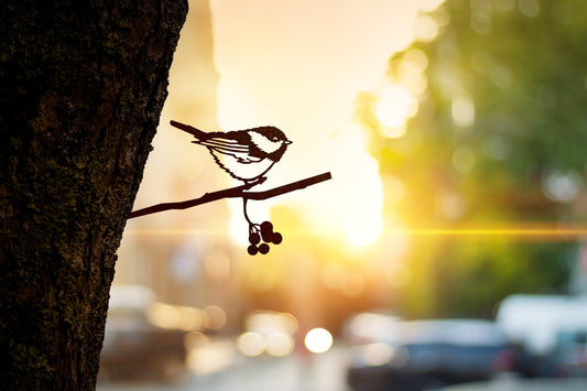 MetalBird - Chickadee - Mellow Monkey