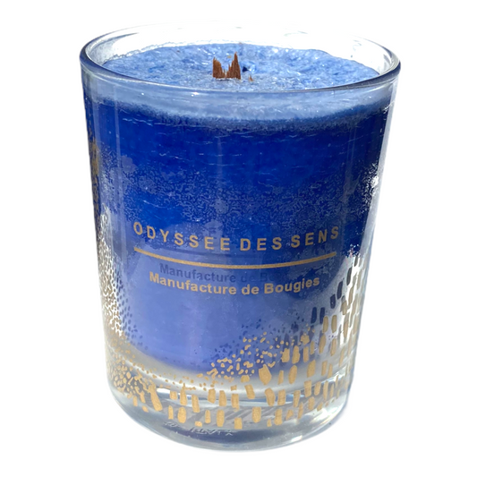 Salt Water Scented Woodwick Candle - Mellow Monkey
