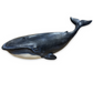 Fin Whale Swimming Sculpture - 19-1/4-in - Mellow Monkey