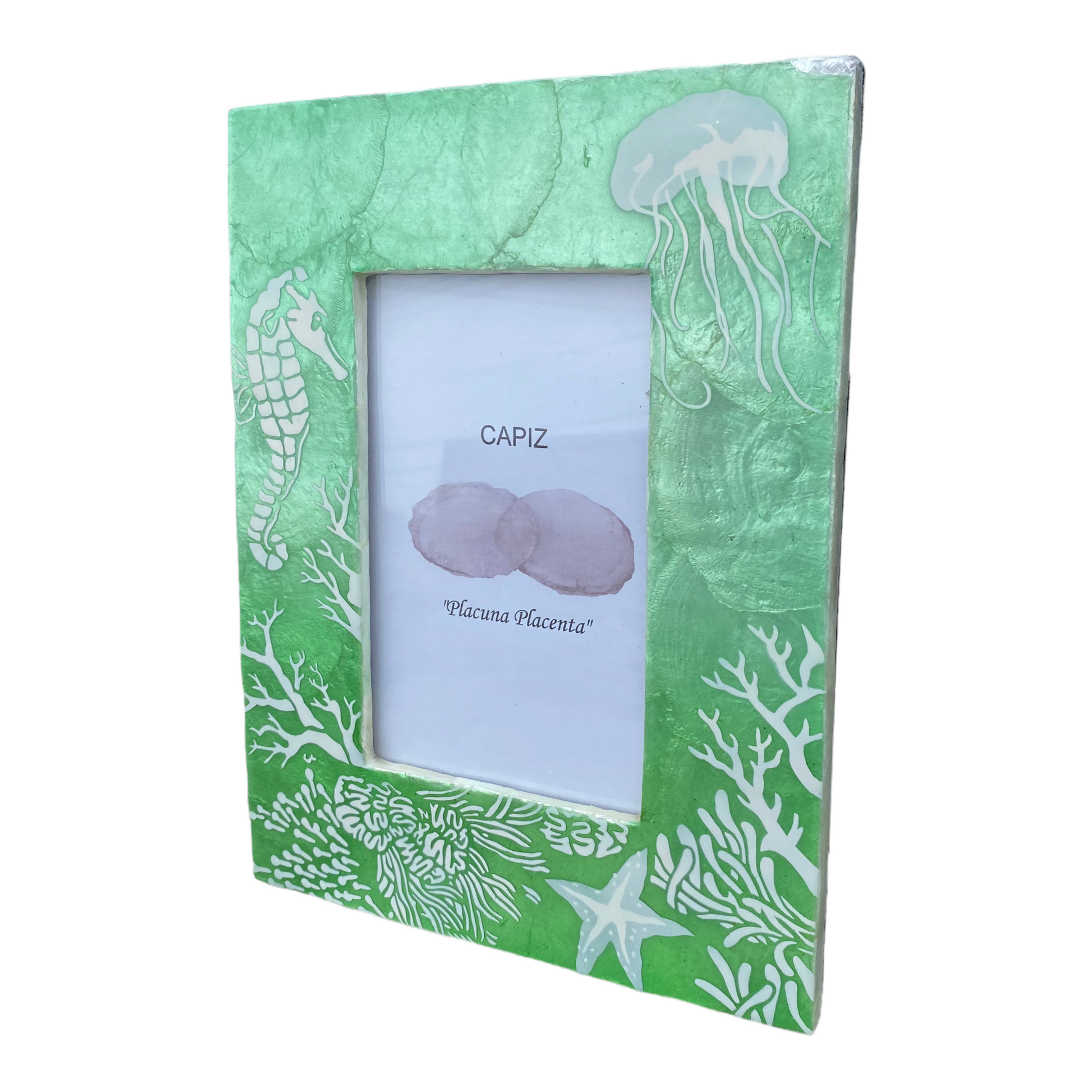 Seahorse Jellyfish Starfish Sea Life Painted Capiz Photo Frame - 9-in (for 4x6 photo) - Mellow Monkey