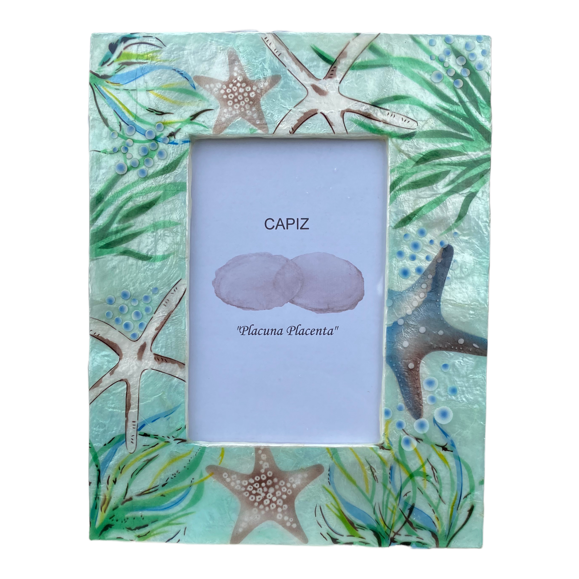 Starfish Painted Capiz Photo Frame - 9-in (for 4x6 photo) - Mellow Monkey