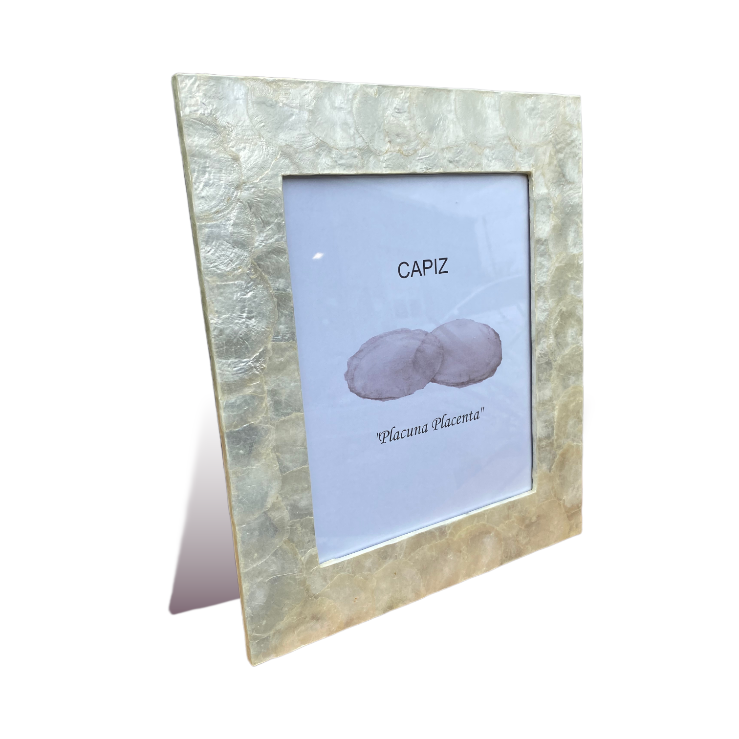 White Capiz Picture Frame - 13-1/2-in (For 8-in x 10-in Photo) – Mellow ...