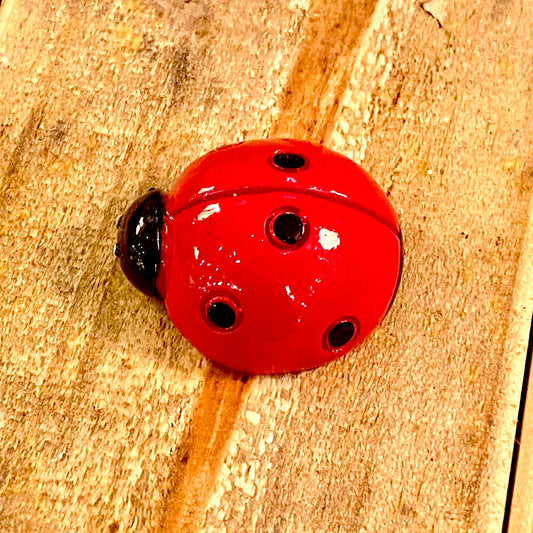 Mini Ladybug - 1-3/8-in - Mellow Monkey
