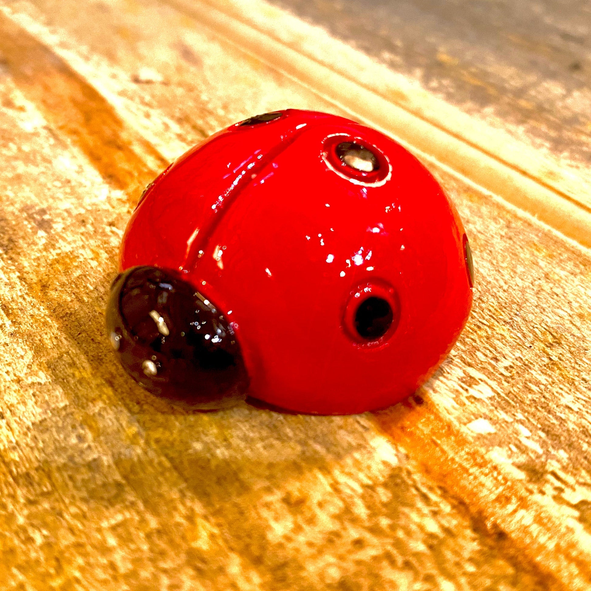 Mini Ladybug - 1-3/8-in - Mellow Monkey