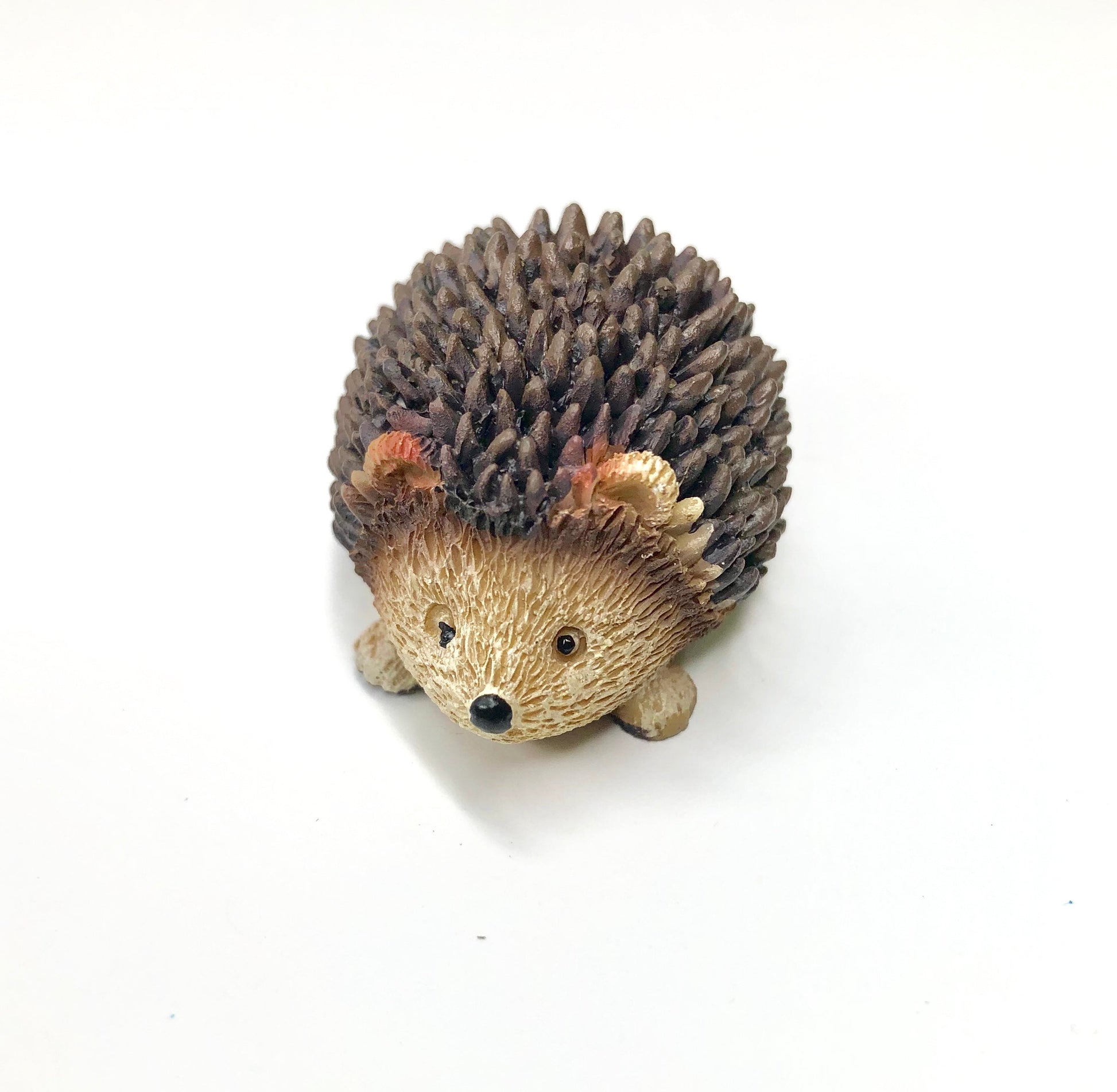 Mini Hedgehog - Mellow Monkey