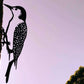 MetalBird - Woodpecker - Mellow Monkey