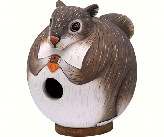 Squirrel Gord-O Hanging Bird House - Mellow Monkey