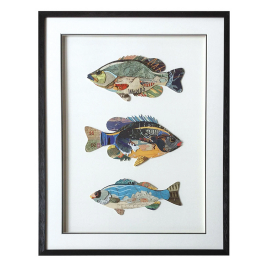 Trio of Fish Framed Collage - Wall Décor - 31-1/2-in. x 23-1/2-in. - Mellow Monkey