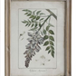 Wood Framed Wall Decor with Vintage Reproduction of Floral Image - 8 Styles - 13-3/4-in. x 18-in. - Mellow Monkey