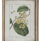Wood Framed Wall Decor with Vintage Reproduction of Floral Image - 8 Styles - 13-3/4-in. x 18-in. - Mellow Monkey