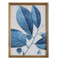 Wood Framed Blue Botanical Wall Décor - 20-1/2 x 28-1/4-in - Mellow Monkey
