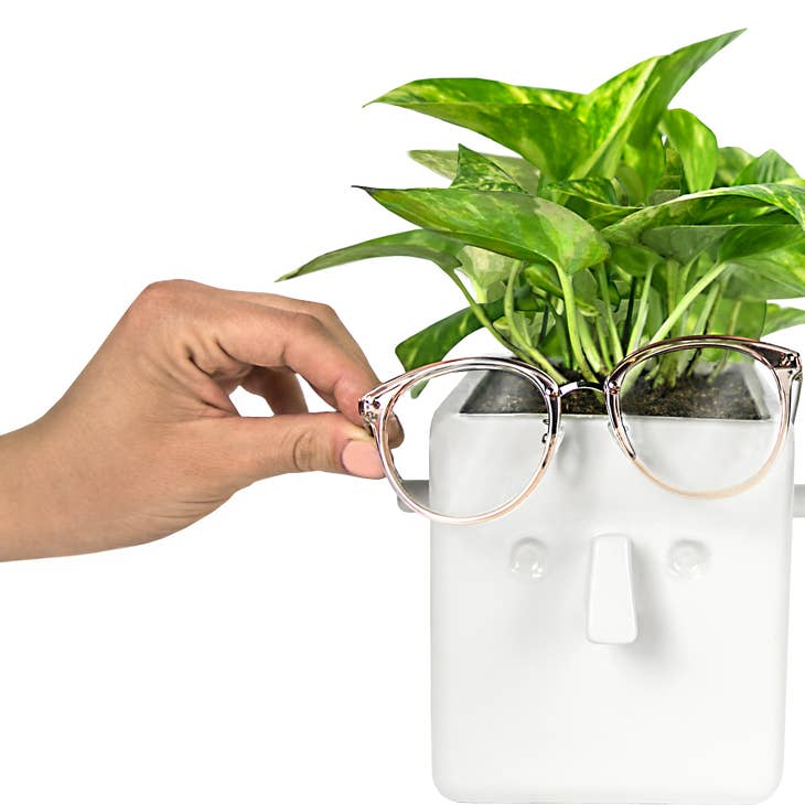 air plant people Face Plant Planter