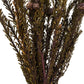 Violet Tortum 12-in Dried Floral Bundle - 5-oz - Mellow Monkey