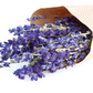 Dried Assorted Larkspur Flowers - 3oz - Mellow Monkey