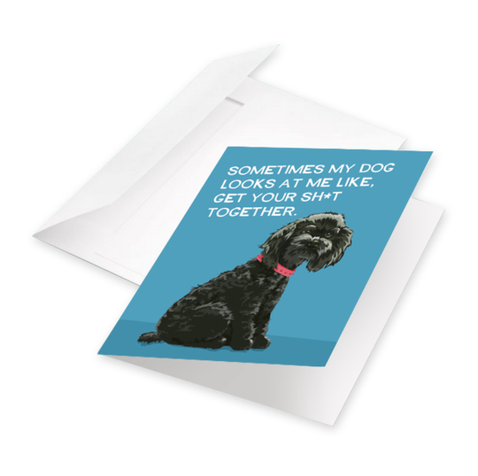Sometimes My Dog Looks At Me Like, Get Your Sh*t Together - Greeting Card from BluntCard - Mellow Monkey