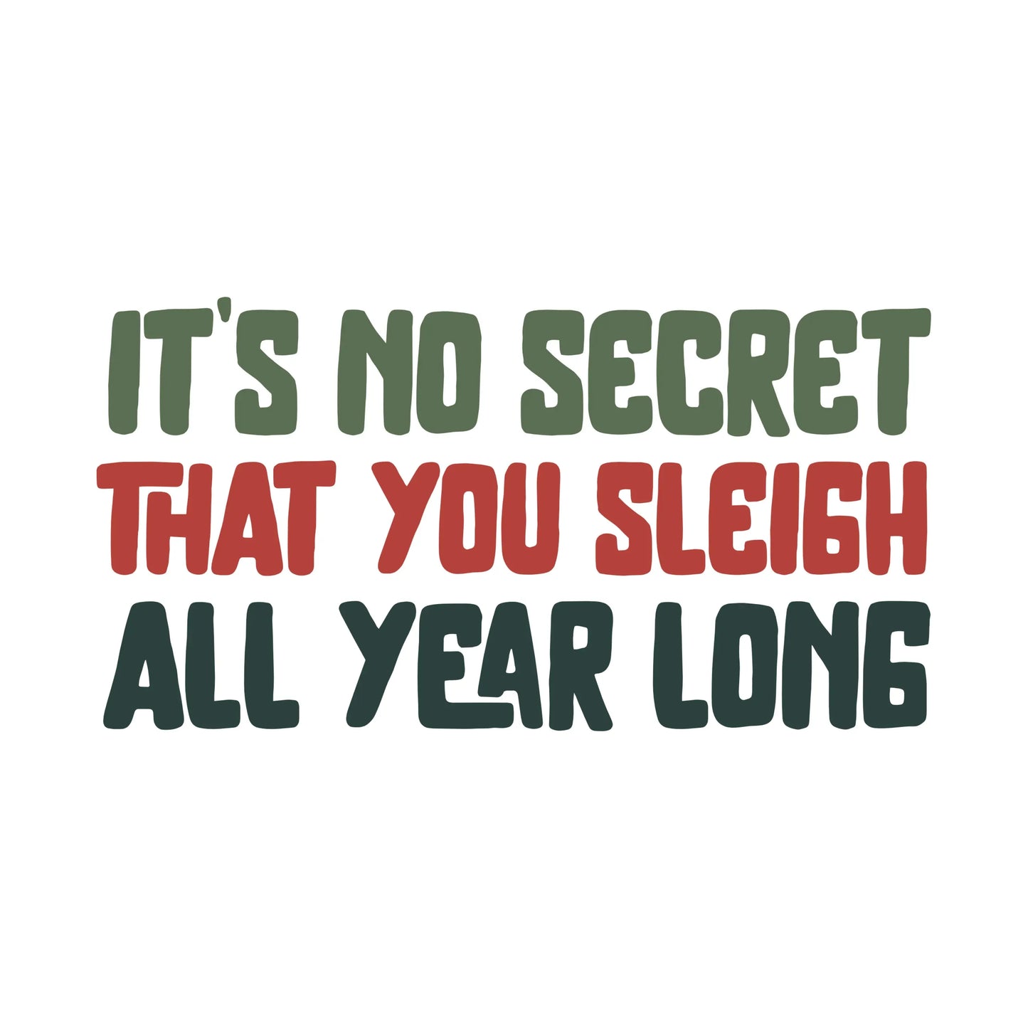 It's No Secret That You Sleigh All Year Long Funny Christmas Greeting Card.