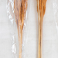 Dried Natural Pampas Grass Bunch - 25-in - Mellow Monkey