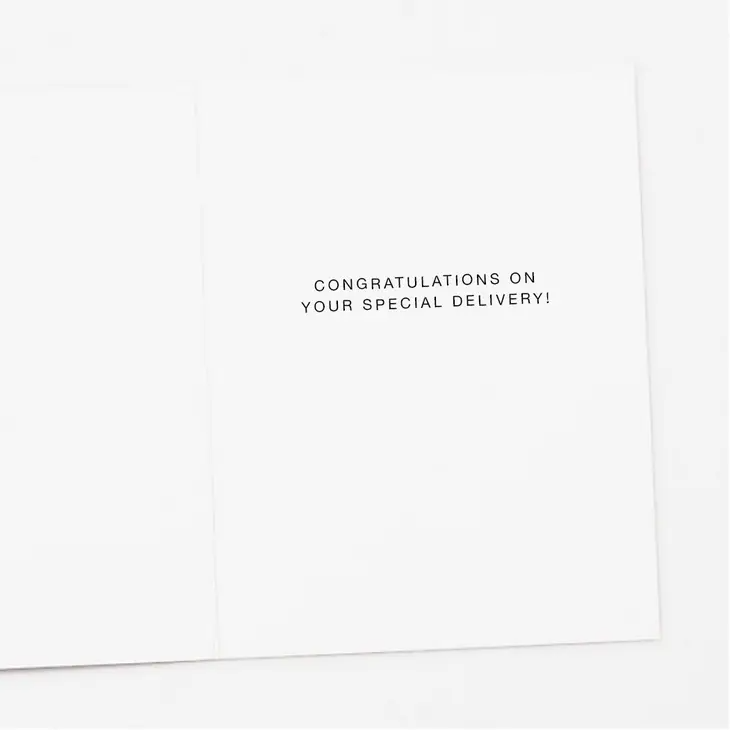 Inside of Stork Chick New Baby Card reads congratulations on your special delivery.