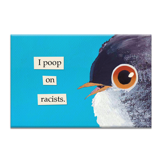 I Poop On Racists - 3-in Troubled Birds Magnet - Mellow Monkey