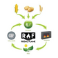 SmartFuel™ Liquid Bio-Ethanol Fuel for Fireplaces - 1 Liter - Mellow Monkey
