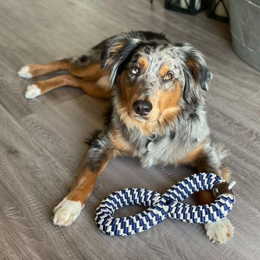 Navy and White Braided Infinity Dog Toy - 11-in - Mellow Monkey