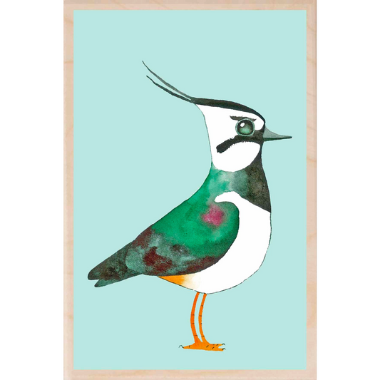 Lapwing Wooden Postcard - Matt Sewell Birds - Mellow Monkey