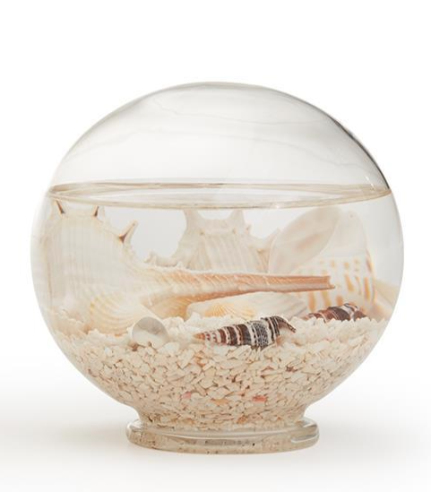Decorative Sea Life Water Globe - Medium - Mellow Monkey