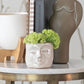 Stoneware Mini Planter with Face - Reactive Glaze - 3-in - Mellow Monkey