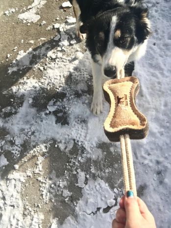 NATURAL WOOL BONE TUG TOY Natural Wool Bone Tug Toy - 16-in - Mellow Monkey