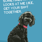 Sometimes My Dog Looks At Me Like, Get Your Sh*t Together - Greeting Card from BluntCard - Mellow Monkey