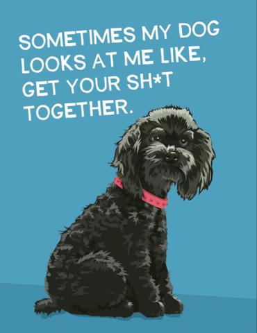 Sometimes My Dog Looks At Me Like, Get Your Sh*t Together - Greeting Card from BluntCard - Mellow Monkey