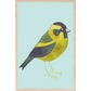 Siskin Wooden Postcard - Matt Sewell Birds - Mellow Monkey