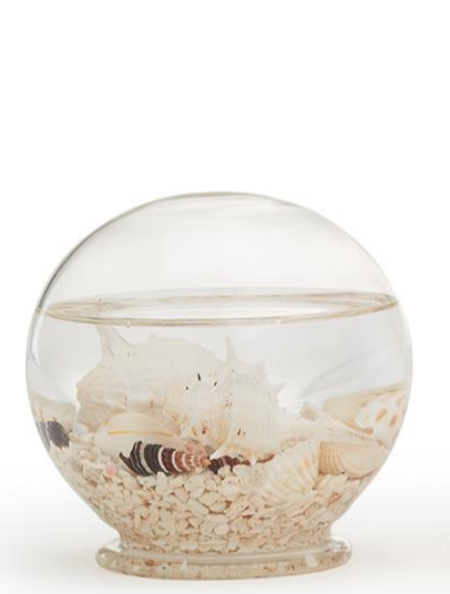 Decorative Sea Life Water Globe - Small - Mellow Monkey