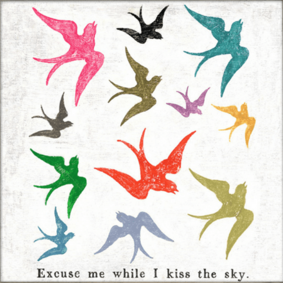 Sugarboo - Excuse Me While I Kiss The Sky - 12 x 12-in Wall Art - Mellow Monkey