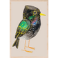 Starling Wooden Postcard - Matt Sewell Birds - Mellow Monkey