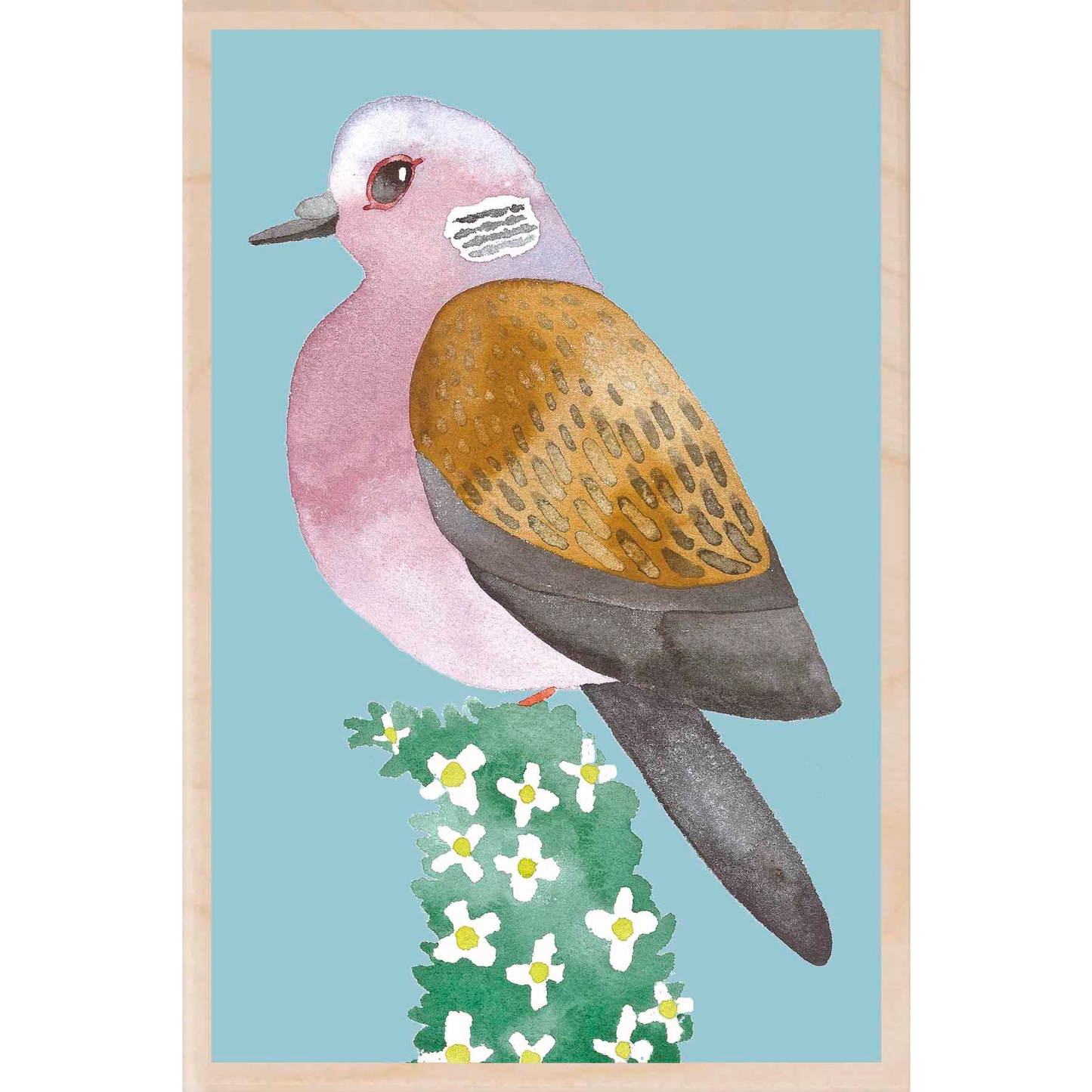 Turtle Dove Wooden Postcard - Matt Sewell Birds - Mellow Monkey