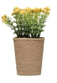 Faux Blooming Plant in Paper Pot - 6-1/2-in - Mellow Monkey